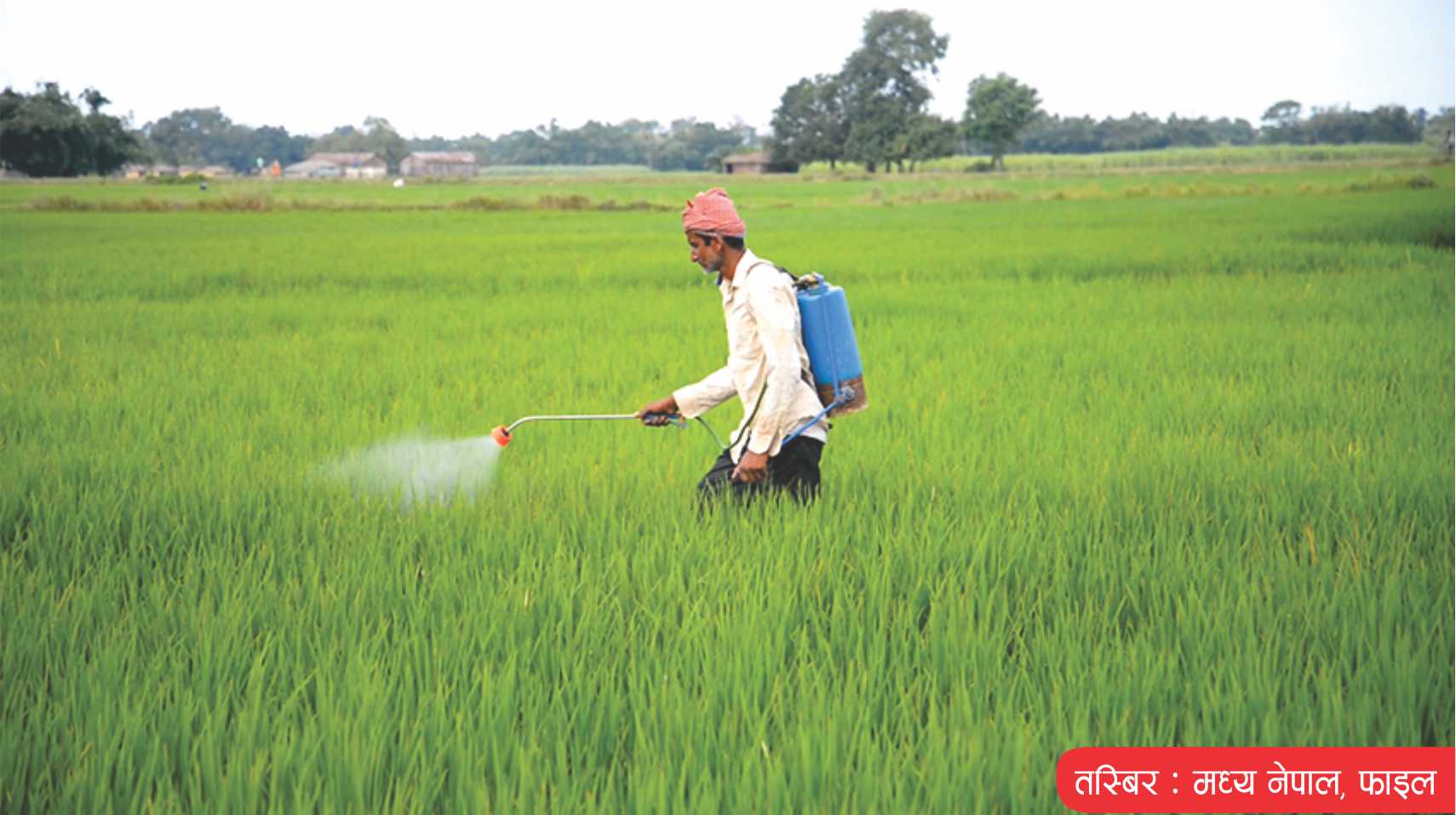 कृषि प्रधान देश भनिरहँदा गिज्याएको भान हुन्न र ?